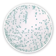 MRSA chromogener Agar (Basis)