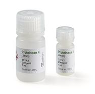 Proteinase K - Solution, 5 ml