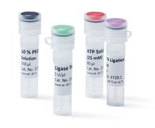 Ligase T4, 500 µl, 5x 500 U