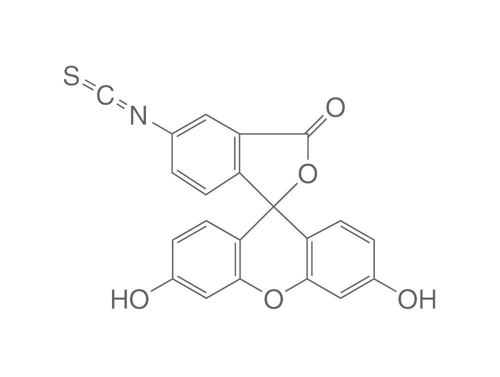 Fluorescéine isothiocyanate, isomère I, 100 mg, cas.number.title.metatag  3326-32-7, Colorants fluorescents, Coloration, Histologie/Microscopie, Life Science