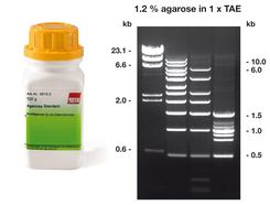 Agarose Standard, 100 g