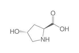 L-4-Hydroxyprolin