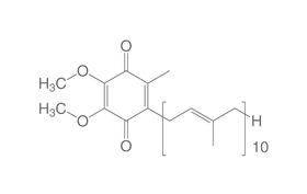 Coenzym Q 10, 1 g