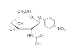 4-Nitrophenyl-<i>N</i>-acetyl-&beta;-D-glucosaminid, 1 g