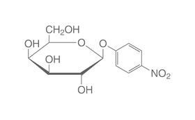 4-Nitrophenyl-&beta;-D-galactopyranoside, 2.5 g