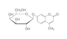 4-Methylumbelliferyl-&beta;-D-galactopyranoside, 500 mg
