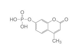 4-Methylumbelliferyl phosphate, 250 mg