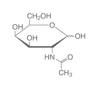 <i>N</i>-Acetyl-D-galactosamine, 1 g