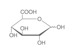 D-Glucuronsäure, 1 g