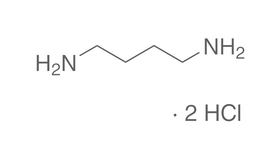 Putrescine dichlorhydrate, 25 g