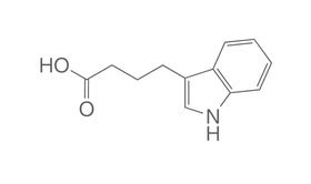 Indole-3-butyric acid, 25 g, glass