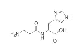 L-Carnosine, 1 g