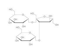D(+)-Melezitose monohydrate, 100 g, plastic