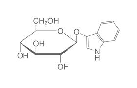 3-Indoxyl-&beta;-D-glucopyranosid, 1 g