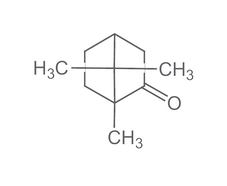 (+/-)-Camphor