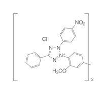 <i>p</i>-Nitrotetrazolium blue chloride, 5 g