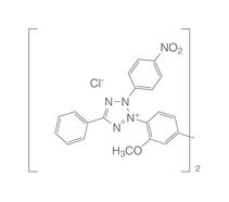 <i>p</i>-Nitrotetrazolium blue chloride, 500 mg