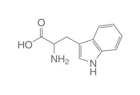 DL-Tryptophan, 25 g