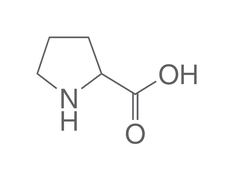 DL-Proline, 25 g