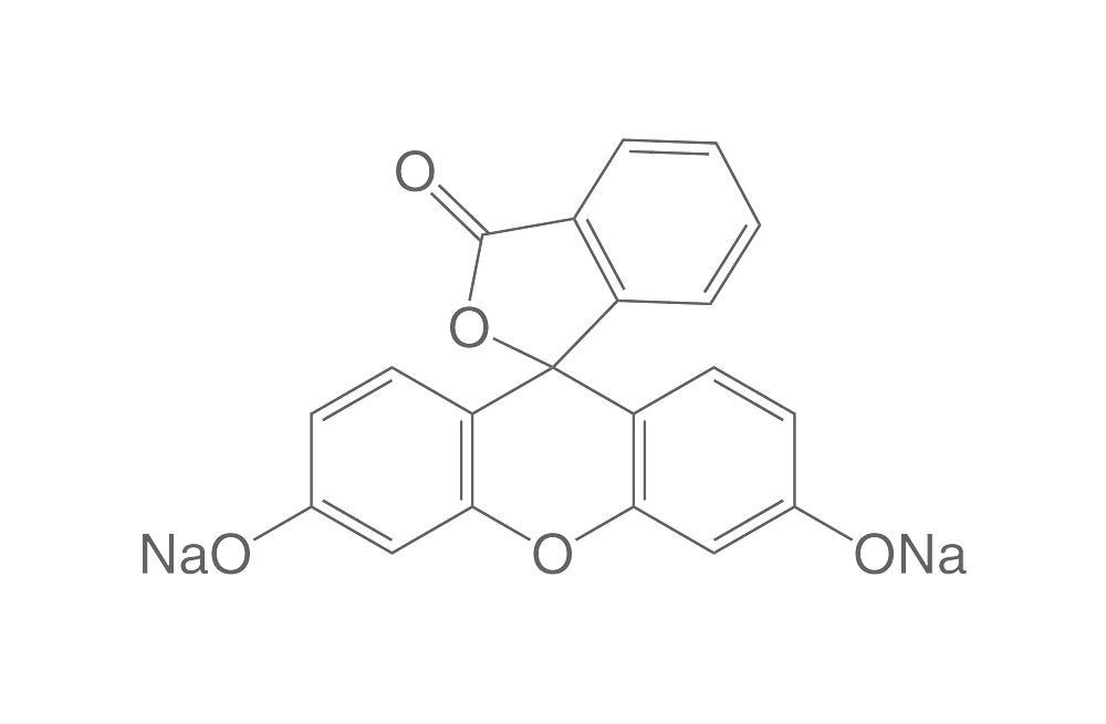 Fluorescéine sodium (C.I. 45350), 500 g, plastique, cas.number