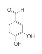 3,4-Dihydroxybenzaldehyd, 100 g