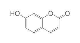 Umbelliférone, 10 g