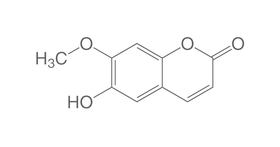 Isoscopoletin