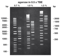 Agarose Low Melt, 100 g