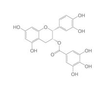 (-)-Épicatéchine gallate