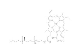 Aktivkohle, 25 kg, CAS No. 7440-44-0, Aktivkohle, Filtrations- und  Extraktionsmittel, Anorganische & analytische Reagenzien, Chemikalien