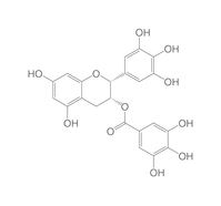 (-)-Epigallocatechingallat