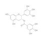 (-)-Epigallocatechin gallate