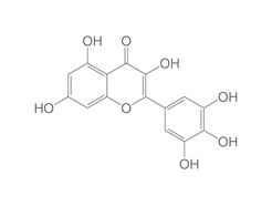 Myricetin, 20 mg