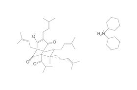 Hyperforin / Adhyperforin Dicyclohexylammoniumsalz, Gemisch 4:1