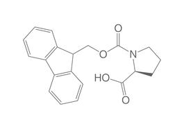 Fmoc-L-Prolin, 10 g