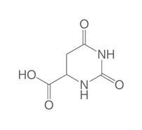 Orotic acid, 25 g