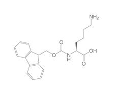 Fmoc-L-Lysin, 10 g