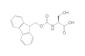 Fmoc-L-Serine monohydrate, 25 g