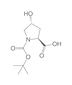 Boc-L-Hydroxyproline, 5 g