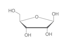 D(-)-Ribose, 25 g