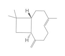 &beta;-Caryophyllen, 100 mg, Glas