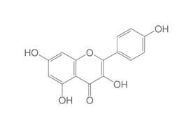 Kaempferol, 10 mg