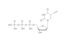 5-Ethynyl-dUTP, 10 µl