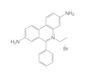 Ethidium bromide, 1 g