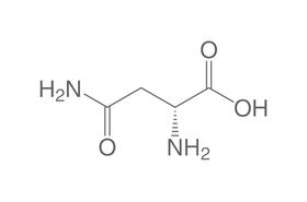D-Asparagine monohydratée, 5 g