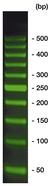 50 bp-DNA-Leiter SYBR<sup>&reg;</sup> Green