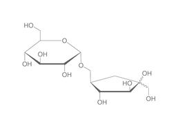 Isomaltulose, 25 g