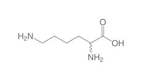 DL-Lysine hydrochloride, 1 g, glass