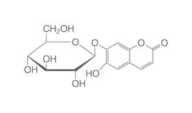 Esculin sesquihydrate, 5 g, glass