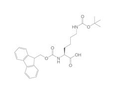 Fmoc-L-Lysine-(Boc), 25 g